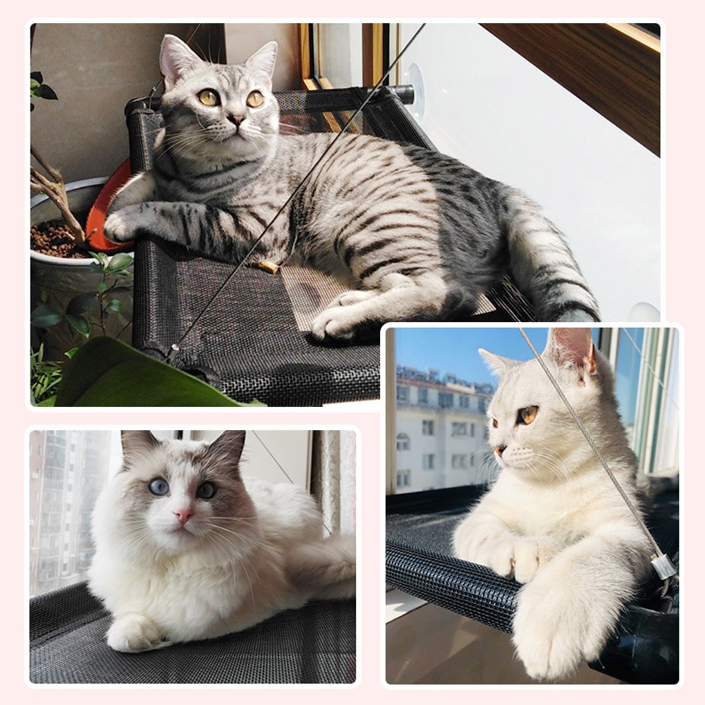 Hamak dla kota okno łóżko zwierzę domowe lato hamak łóżko łóżko domu salon przyssawka ściany wiszące zwierzę domowe siatka oddychające łóżko hamak