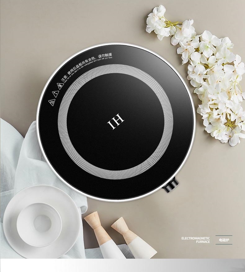 mini induction cooker