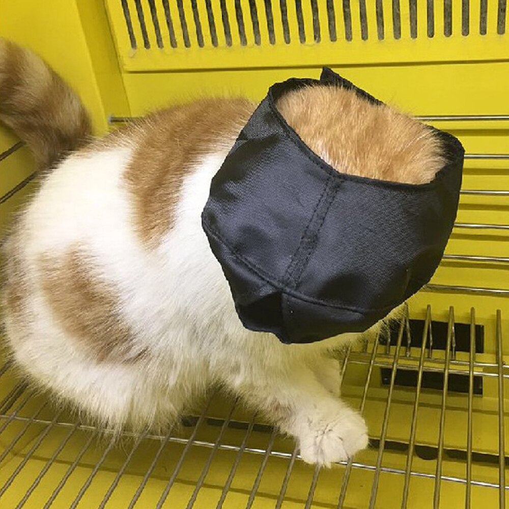 1pc kat næse badebeskyttelse nylon maske killing rejseværktøj let bekvem badning mundkurve anti bid kattepleje tilbehør