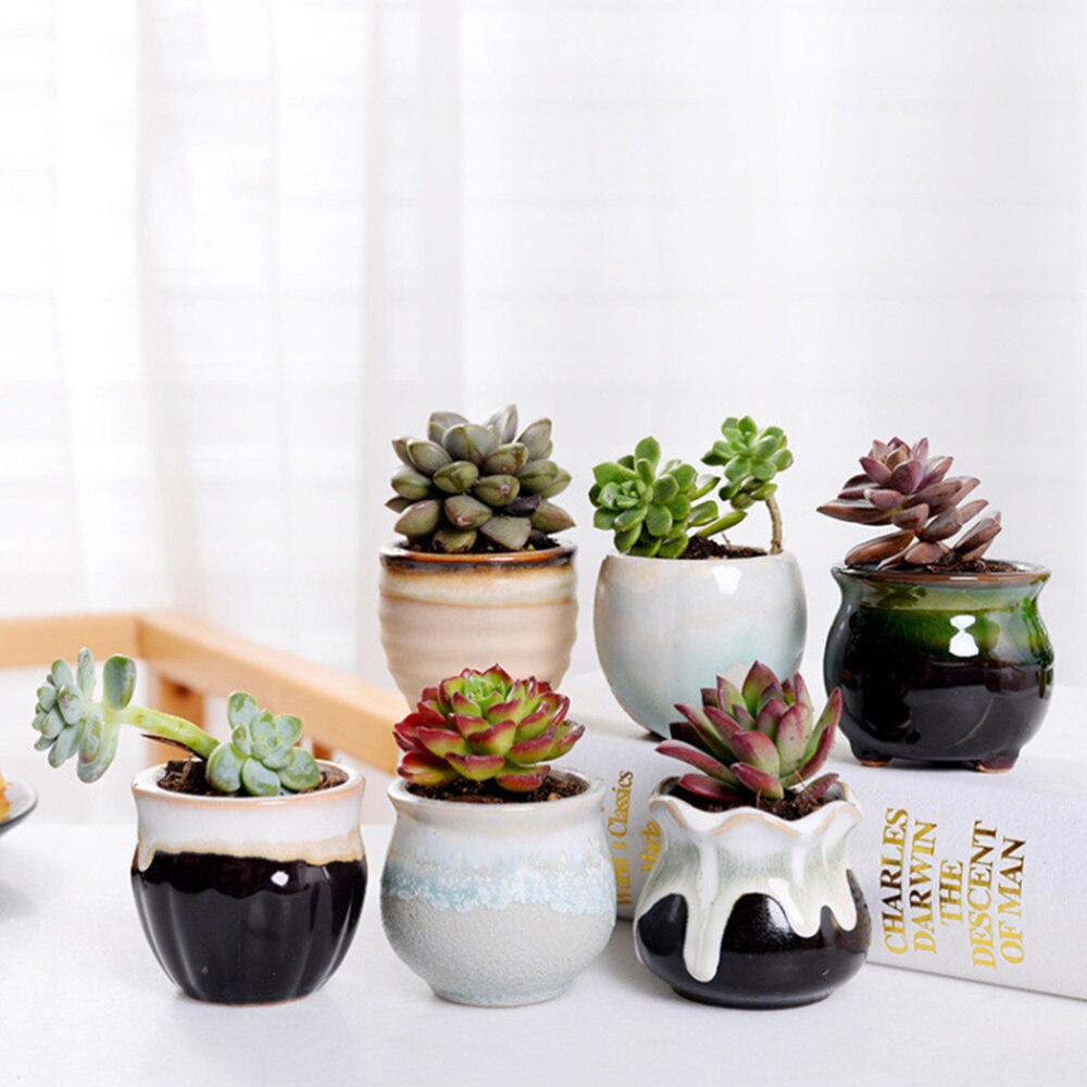 Maceta de cerámica para plantas suculentas, flujo Variable, para el hogar, oficina, plantas sin planta, 6 uds.