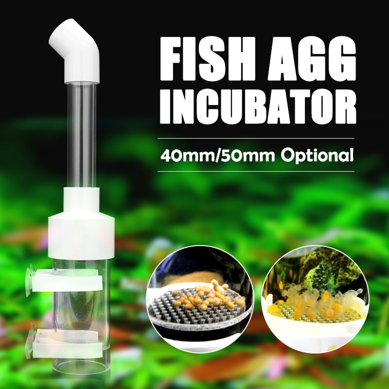 Senzeal Aquarium Fish Tank Accessories Fish Shrimp Cichlids Egg Incubator Tumbler Fish Turtle Hatchery Mouth-Brooding 40mm