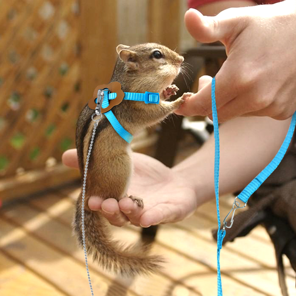 Einstellbare Haustier nutzbar machen und Leine Für Hamster Frettchen Ratte Maus Hase Nylon Geschirre Weste Blei Seil Leine Guinea Schwein Zubehör