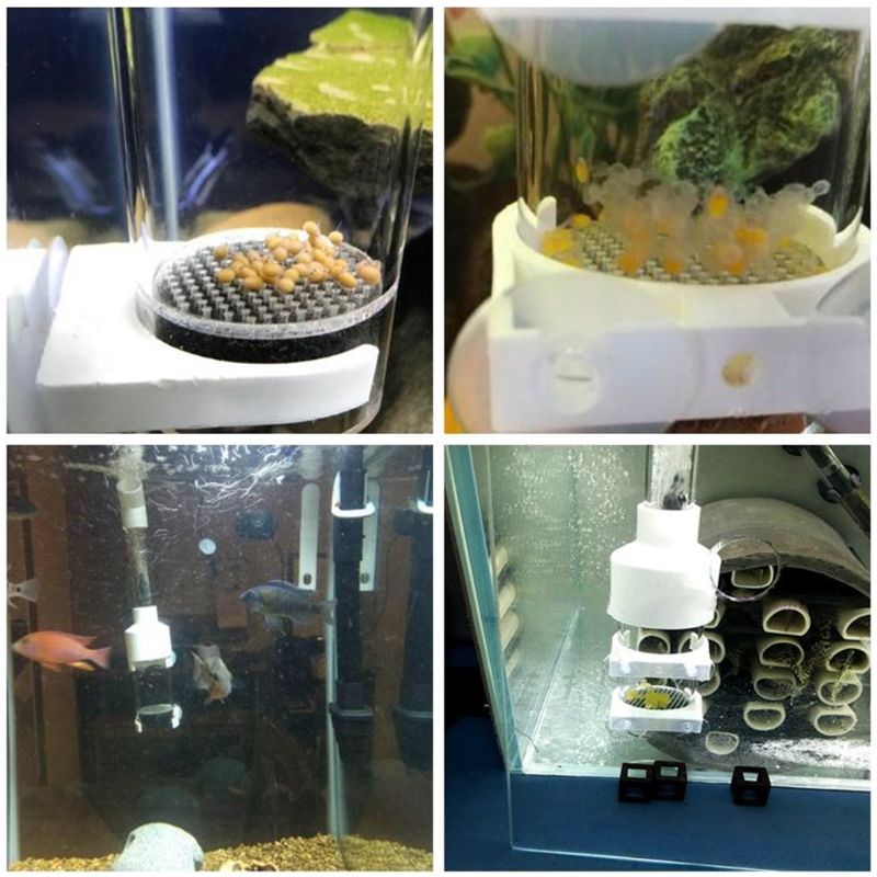 Incubateur à gobelets pour Aquarium, couveuse d&#39;œufs de poisson au lieu de l&#39;éclosion