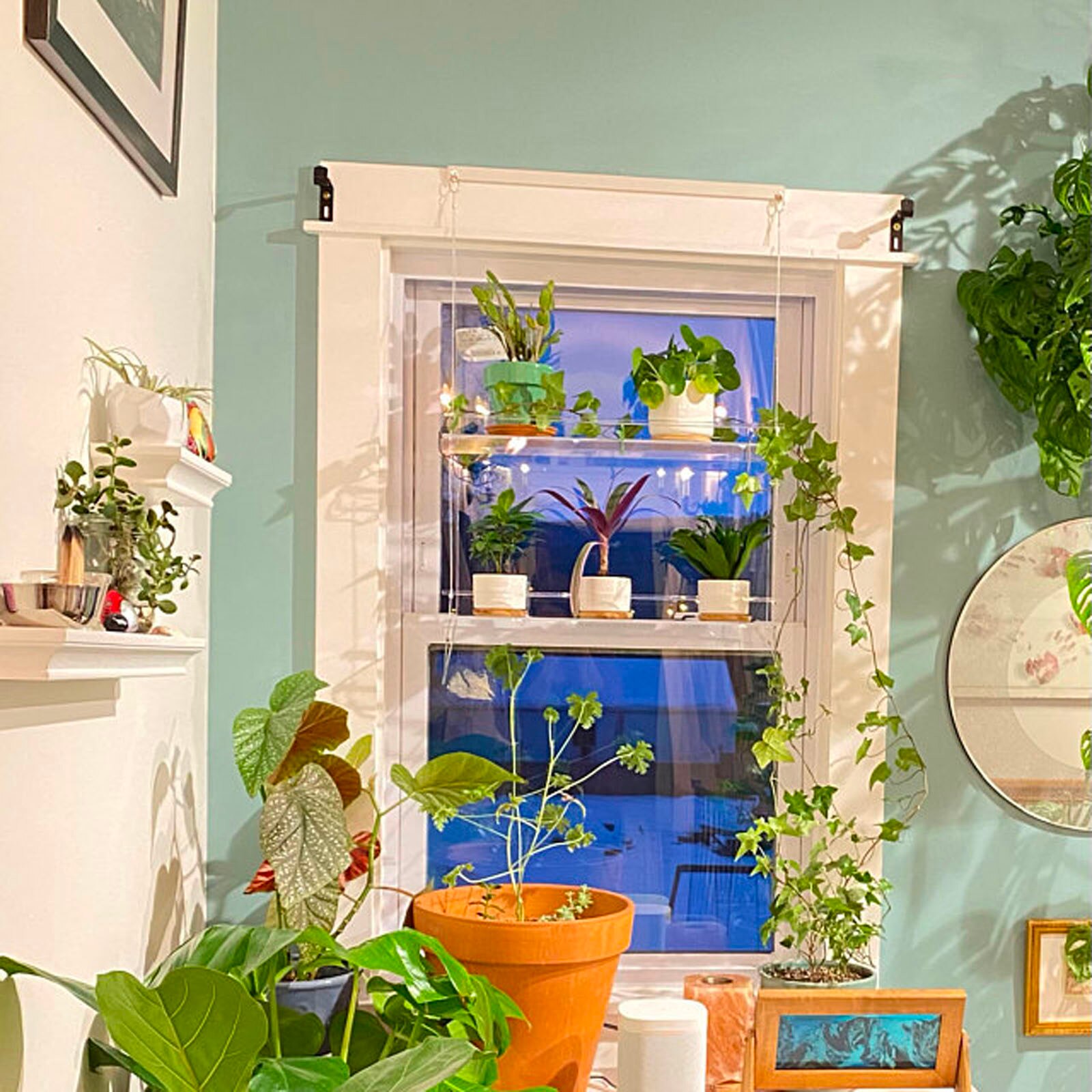 Plank Voor Planten Venster Badkamer Of Keuken Venster Fabriek Plank Opknoping Plank Plant Planken Plant Stand Indoor Tuin Decor