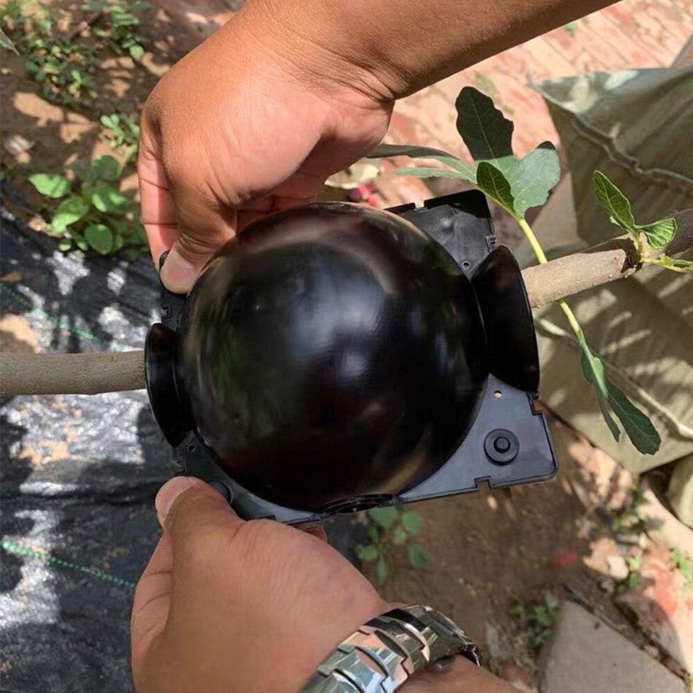 5/8/12cm Plant Rooting Growing Box Plant Rooting Box Case Rooting Ball Plastic Flower Container Nursery Trays Indoor Garden Tool