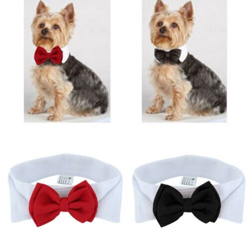 Mode Verstelbare Bow Tie-Kraag Stropdas Strik Kleding Voor Puppy Pet Hond Kat Hond Strikje Hond kraag Formele Gelegenheid