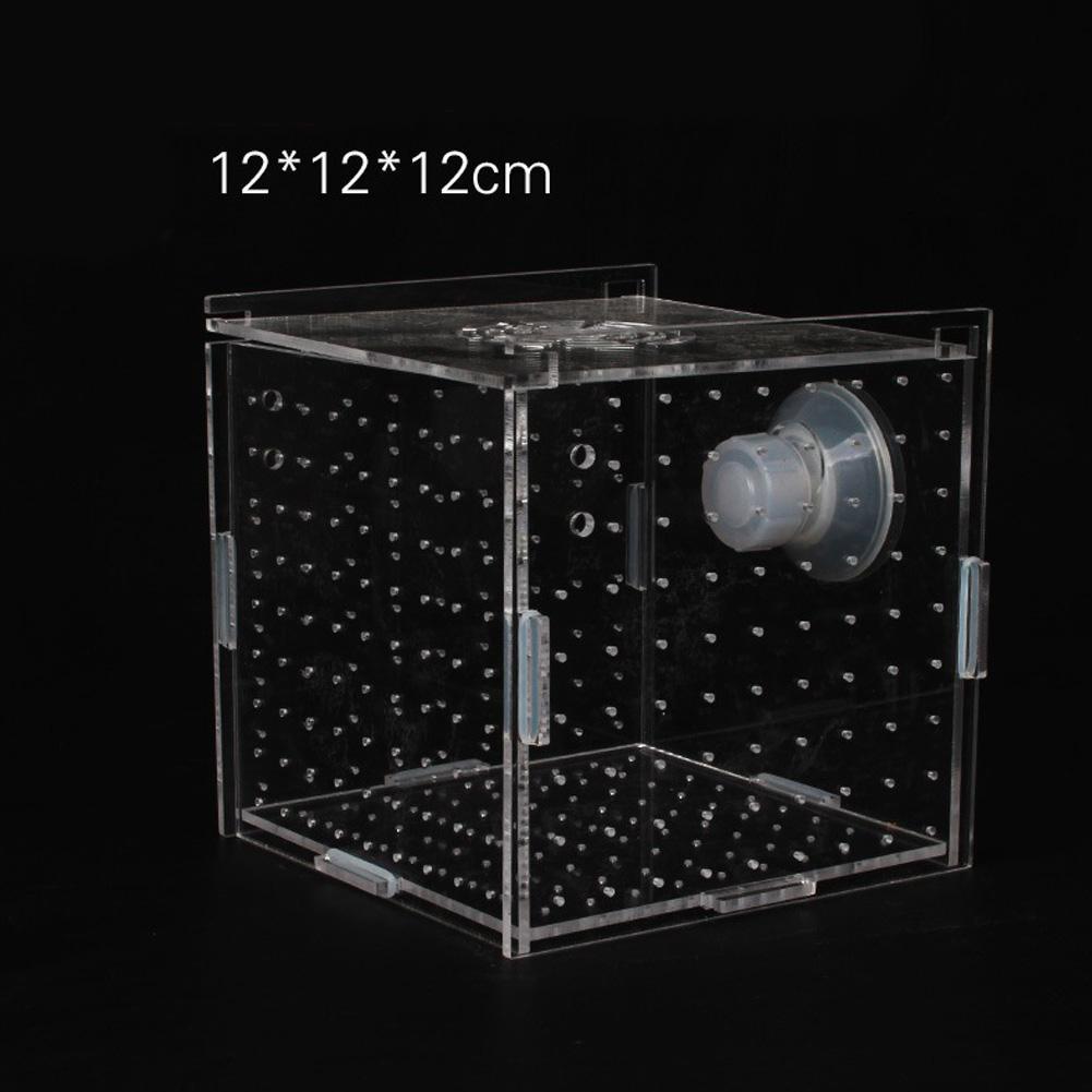 Single Grid Breeding Box Incubator Isolation Hairtail Nursery House Aquarium Accessaries