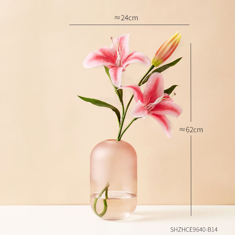 Eenvoudige decoratie van gematteerde glazen vazen, transparante vazen, scandinavische interieurdecoratie, inzetstuk voor thuis, bloemenknutsels
