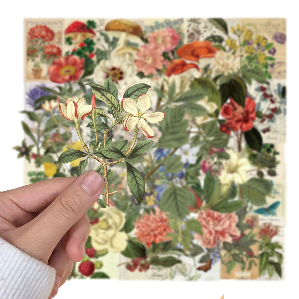 50 przezroczyste naklejki z motywem roślin w stylu vintage, wodoodporne, do dekoracji zwierząt, naklejek na notatniki i gitary