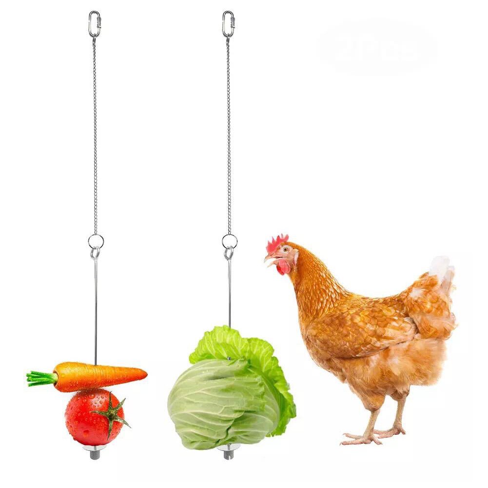 2pcs Parrots Cage Accessories Food Holder Hanging Feeder Toy Hens Chicken Fruit Veggies Budgie Parakeet Skewer Stainless Steel