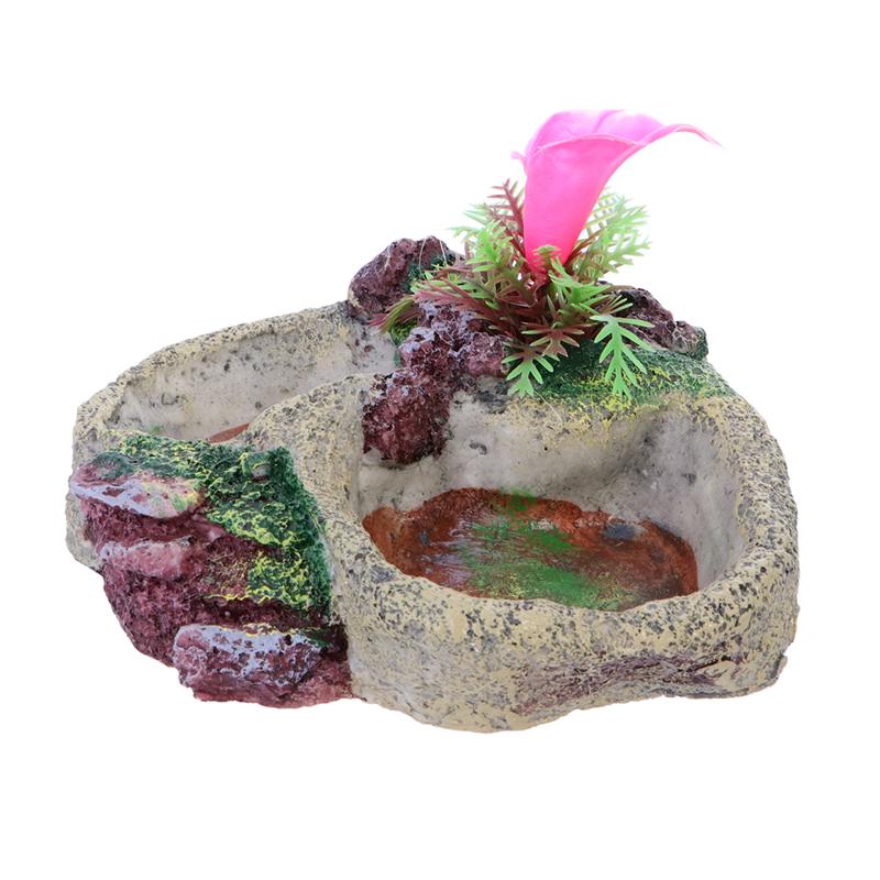 1Pcs Pet Food Bowl Reptile Drinking Dish Crawler Food Dish Pet Supplies for Reptile Tortoise Water Turtle Lizard Snake: 15x13CM b