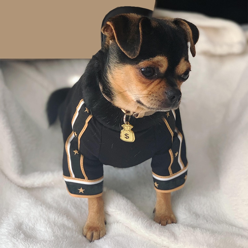 Hondenkleding met tas, hondentrui voor kleine honden, casual puppy-kattenkostuums, franse bulldog-bichonkleding