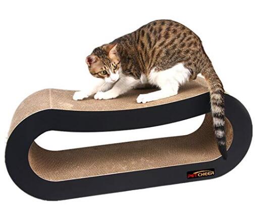 Jumbo Cat Scratcher Lounge Sofa Fat Cat Bed Cardboard Paper Cat Toy Scratching Pad Big Boy