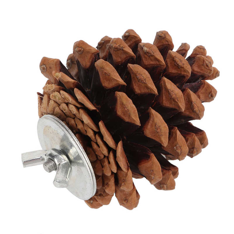 Bird Bite Pine Cones Bird Molar Pine Cone Toy Safe Nut Fix for Cockatiel for Finch