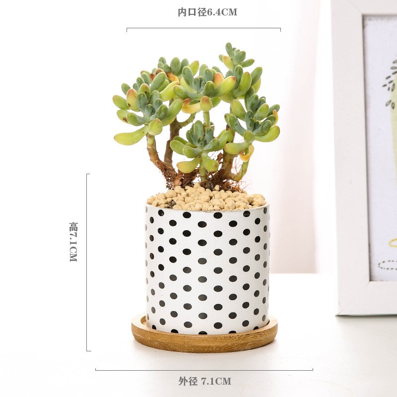 Nordic Geometric Pattern Ceramic Succulent Pot Straight Simple Black and White Home Decoration Succulent Small Potted Plant: D