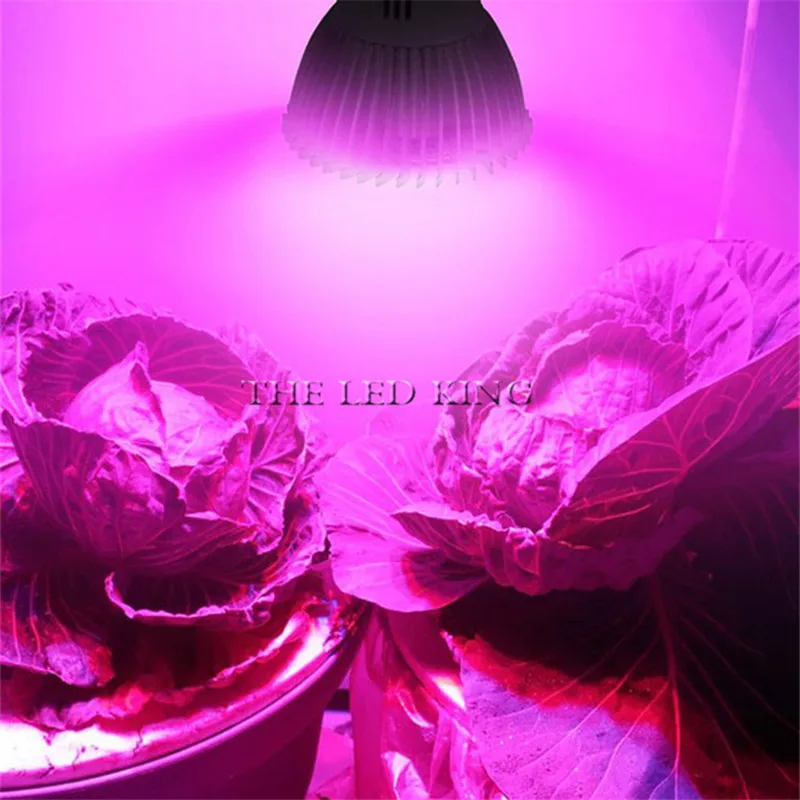 Grow light E27 Phyto Lamp 18W 30W 80W E27 GU10 Led Grows Light Full Spectrum Fitolamp Ac85-265V 5730 IR Uv Led Lamps For plants