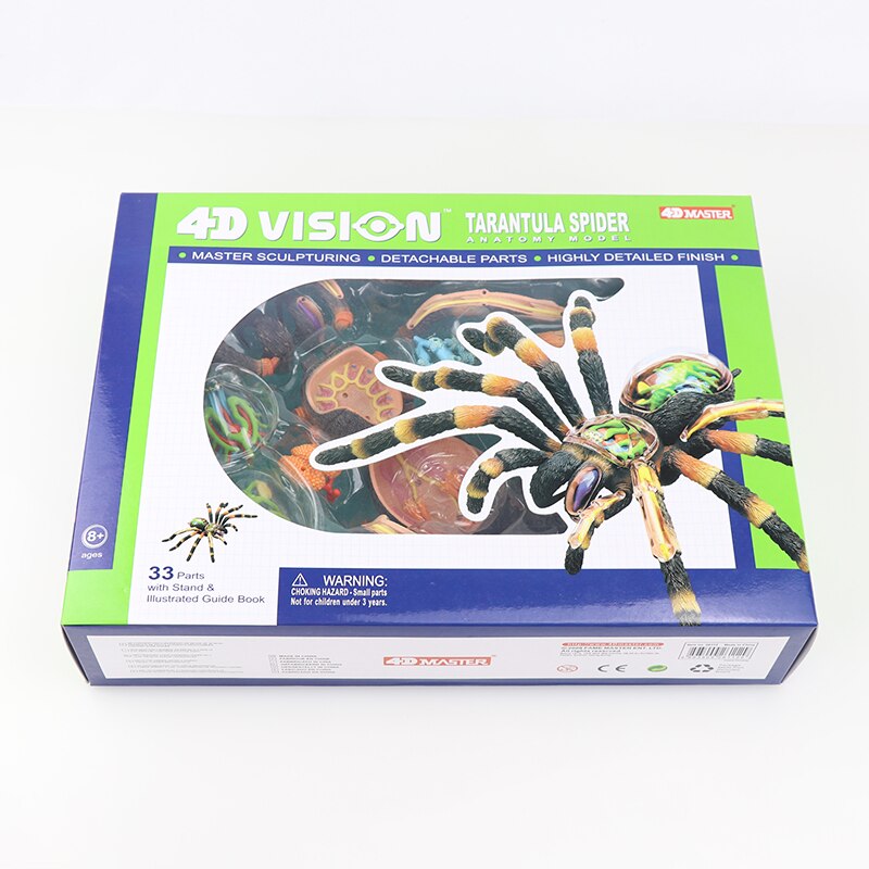 Simulatie dier pop 4d meester puzzel assemblage speelgoed wezen gevogelte kat hond paard varken haai walvis orgaan anatomie: Spin