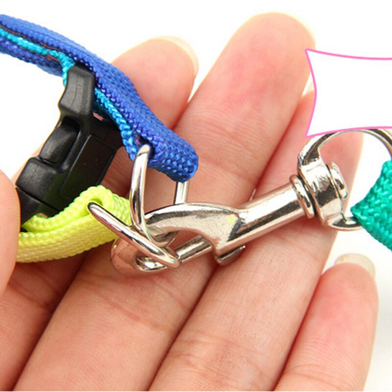 Breakaway rainbow nylon kat kæledyr halsbånd sele snor sæt til katte hund små kæledyr justerbar kanin hunde snor katten halsband