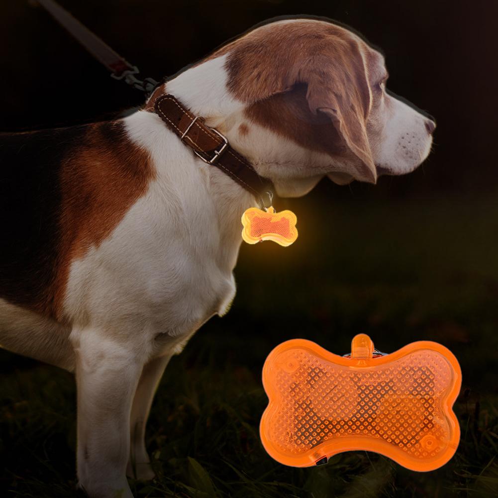 Collier pendentif en plastique avec lumière LED, Flash lumineux, bijoux pour animaux de compagnie, nuit en plein air, accessoires Anti-perte