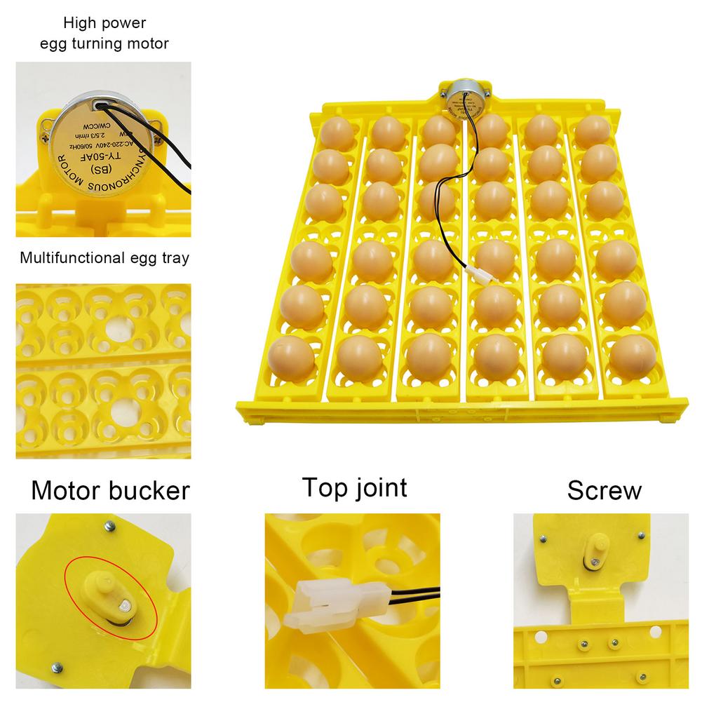 Incubadora de huevos automática para incubar huevos de gallina, girador pequeño de 36 huevos, bandeja para huevos de aves 156 con electricidad