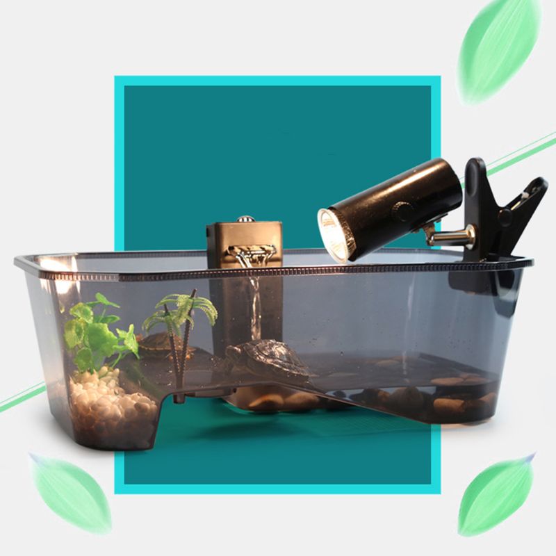 Krybdyr vivarium kasse skildpadde skildpadde med basking rampe akvarietank opdræt mad værktøj