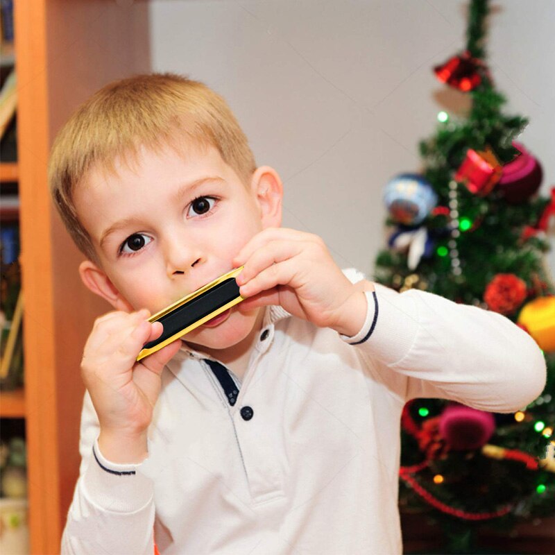 Harmonica Key of C Standard Diatonic 10 Hole Puzzle Musical Instrument Diatonic Harp For Beginner Students Kids