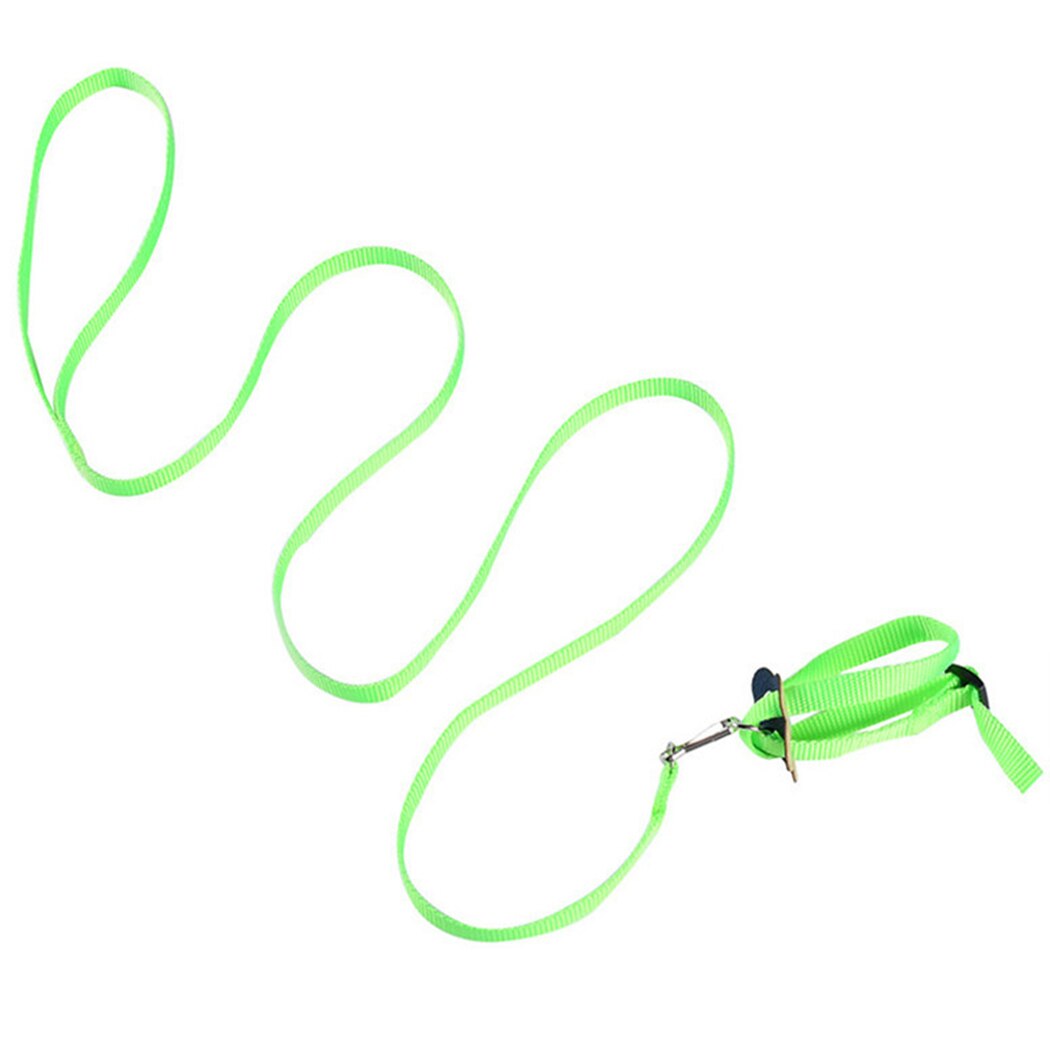 1 pièces harnais pour oiseaux laisse Nylon réglable perroquet harnais laisse fournitures pour oiseaux perroquet oiseau AntiBite en plein air harnais de vol