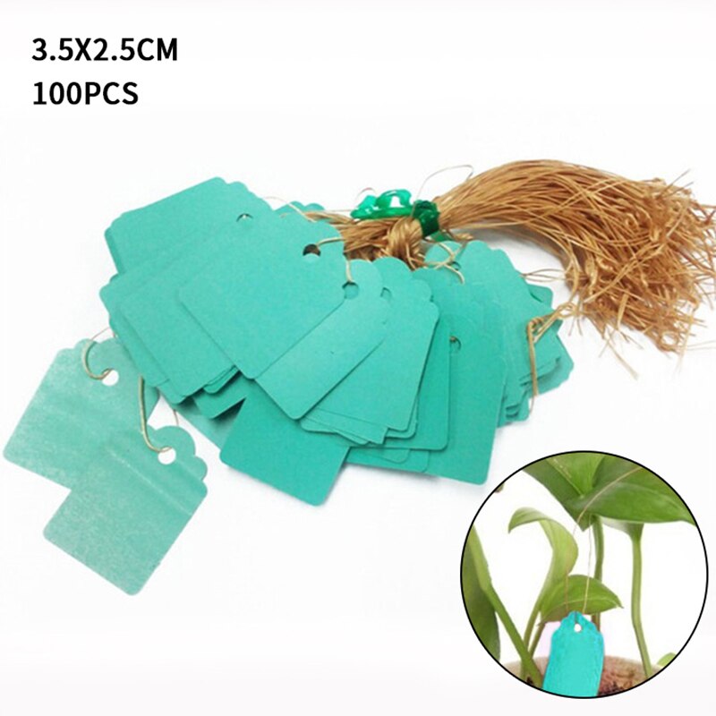 Coloré Étiquettes De Plantes Pépinière Étiquette pendaison arbre Marqueurs semis plantent des arbres fruitiers signes rapide carte outil de classement: green