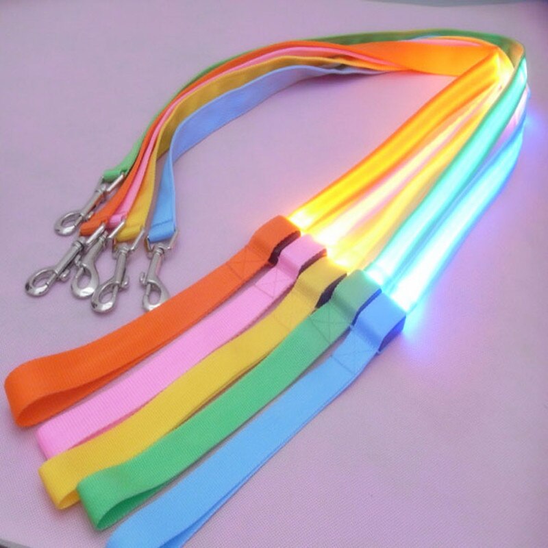 Laisse en Nylon pour chien, sécurité nocturne, LED clignotante dans la nuit, collier pour animaux de compagnie, dessin pour chat, petit gabarit