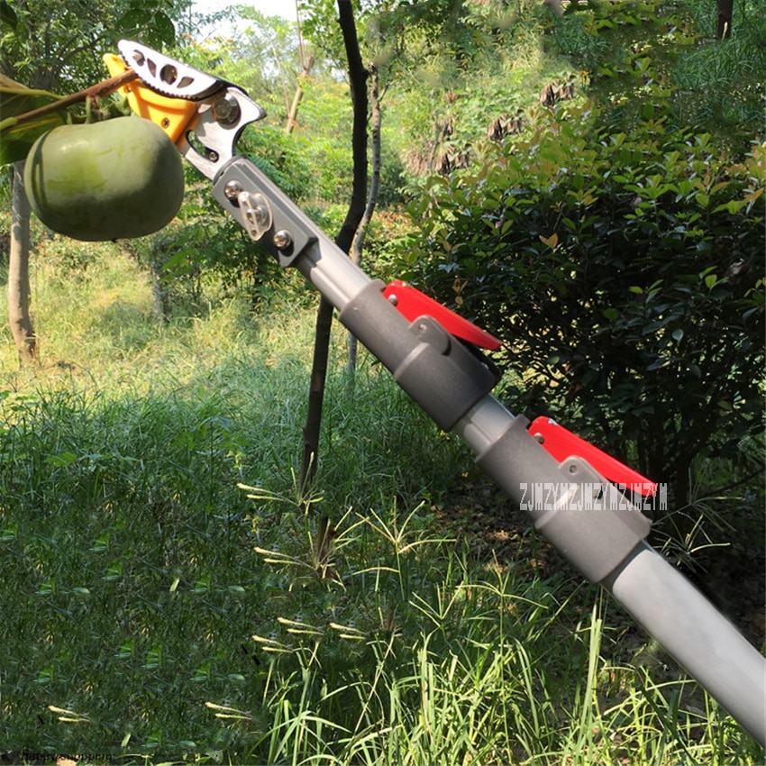 Tijeras para podar árboles frutales, herramienta de poda de ramas altas, telescópica, para jardín, mejorado, 3 metros