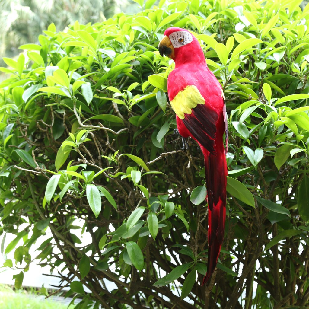 Garden Ornament Parrot Patio Decor Outdoor Artificial Animals Red & Green