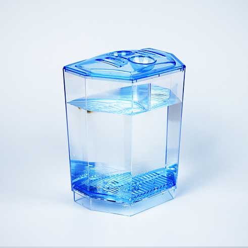 Mini arktisk fiskeavlskasse dobbelt guppy ruge dobbelt klækning akvarium betta gennemsigtig kasse  wf1020: B enkelt gitter
