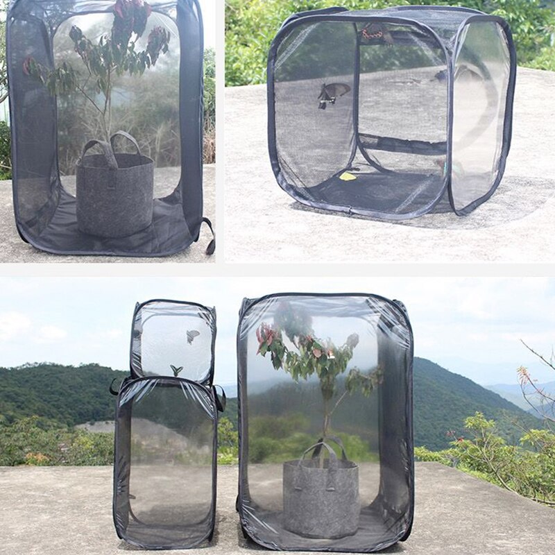 Insect Proof Ant Farm Net Box Foldable Plant Greenhouse Plant Seedlings Incubator Portable Collapsible Insect Cage Ant Farm Box