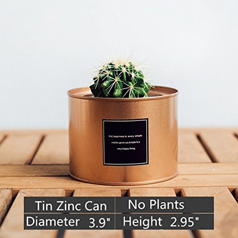 Maceta de Metal para jardín, maceta de hierro suculenta, contenedor de almacenamiento, maceta decorativa para jardín, flor Artificial, oro rosa, plata, negro, 27: Rose Gold 7.5CM
