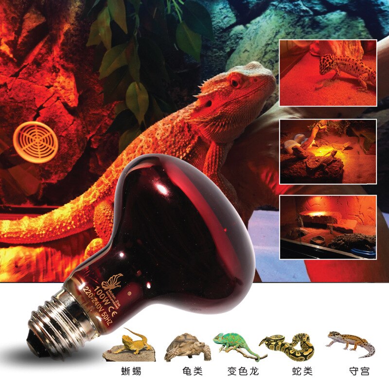 E27 Heat Light Bulb Sterlizer Lamp 25/60/100W Pet Infrared Heating Lamp Reptile Turtle Amphibians Lizards Temperature Control