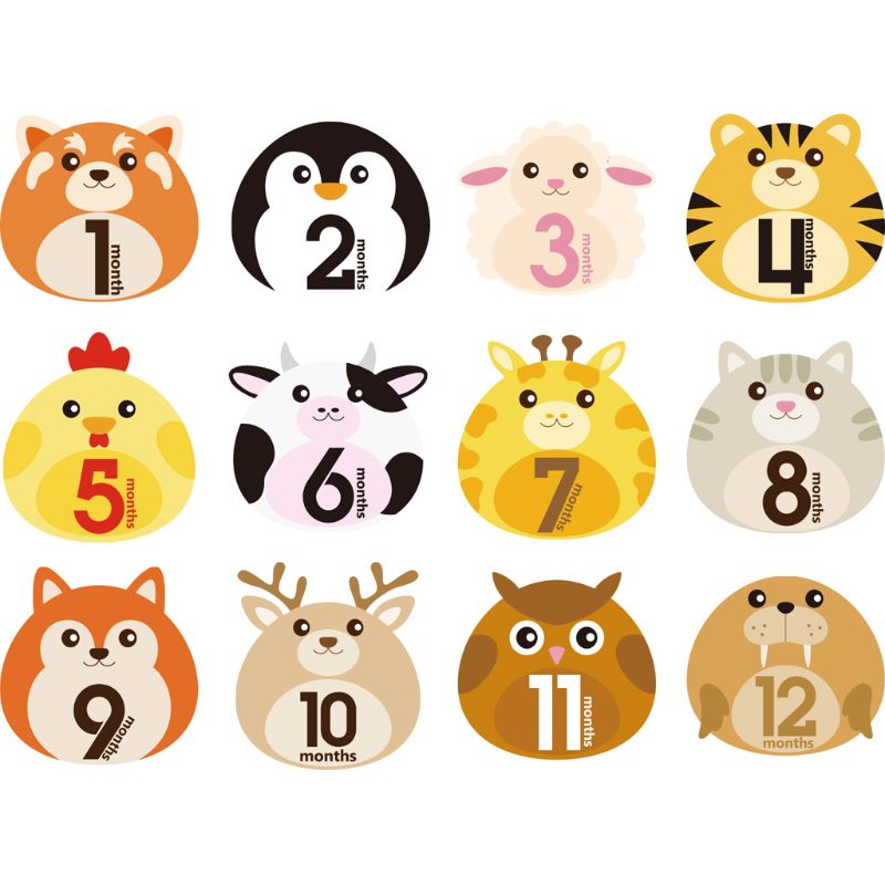 12 Pcs Animal First Year Monthly Milestone Photo Sharing Baby Belly Stickers 1-12 Months