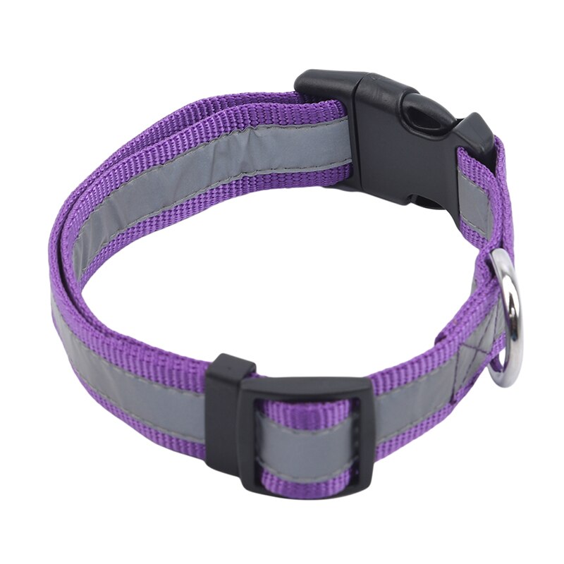 Nylon hondenhalsband voor 's nachts, knipperend, lichtgevende hondenriem voor honden, lichtgevende fluorescerende halsbanden voor huisdieren, huisdierbenodigdheden: Paars 2.5cm