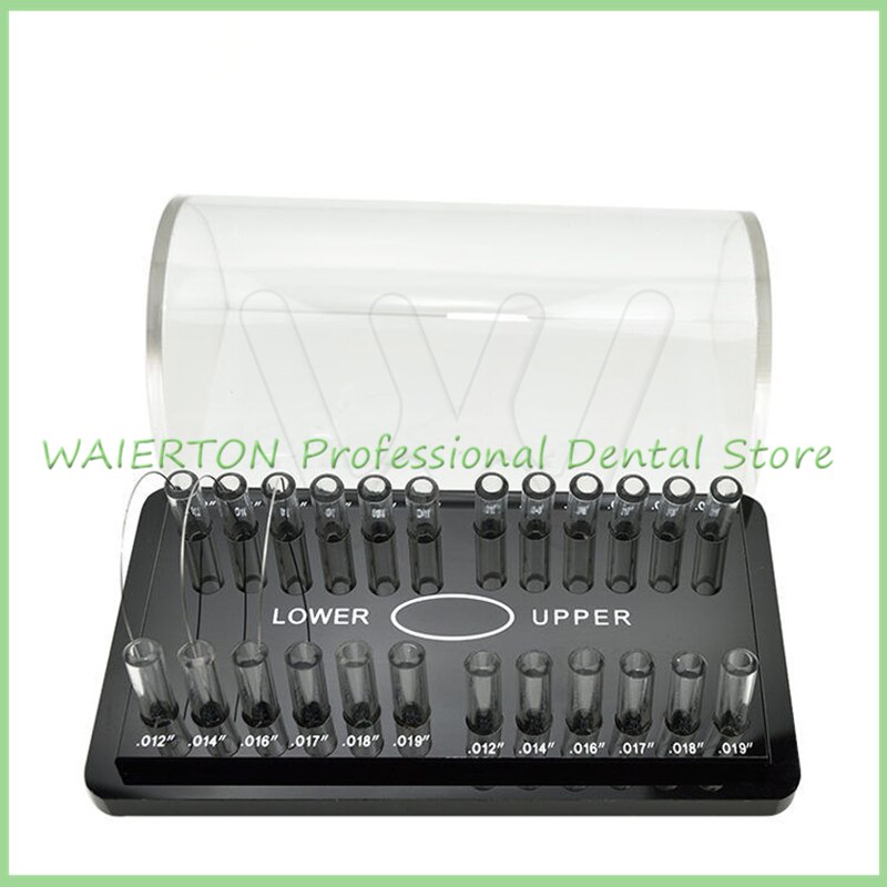 Dental Acrylic Organizer Holder for Orthodontic Rectangular Arch wires Case