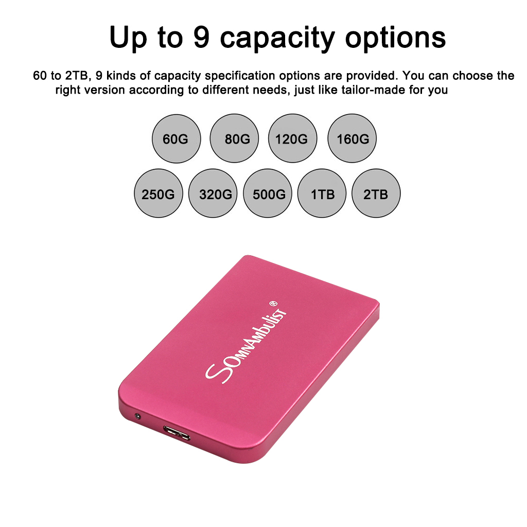 Disque dur externe Portable usb 500, 60 go, 320 go, 250 go, 160 go, 120 go, 2.5 go, 1 to, 2 to, pour ordinateurs portables