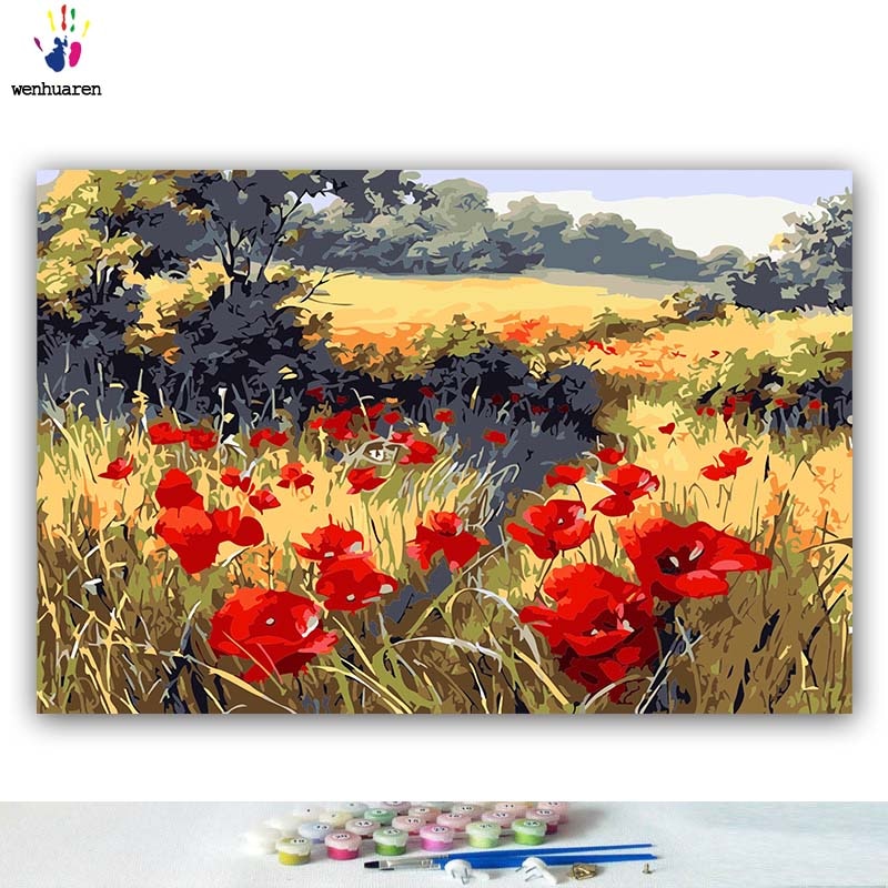 Gjør-det-selv-farger bilder etter tall med farger rød valmue blomst felt bilde tegning maleri etter tall innrammet hjem