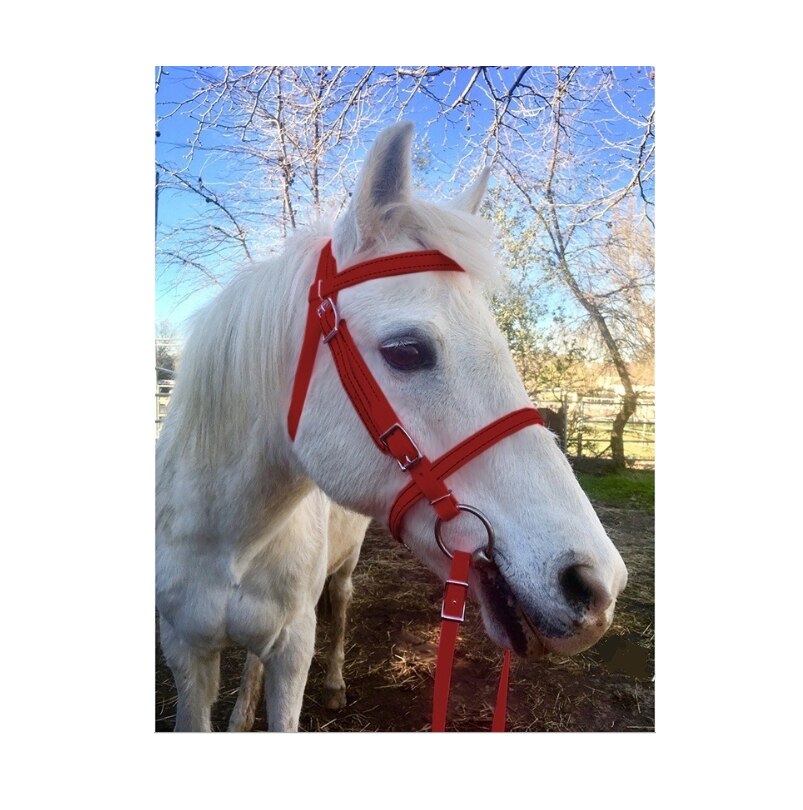 Amazing Head Collar adjustable and Comfortable For Horses: Red