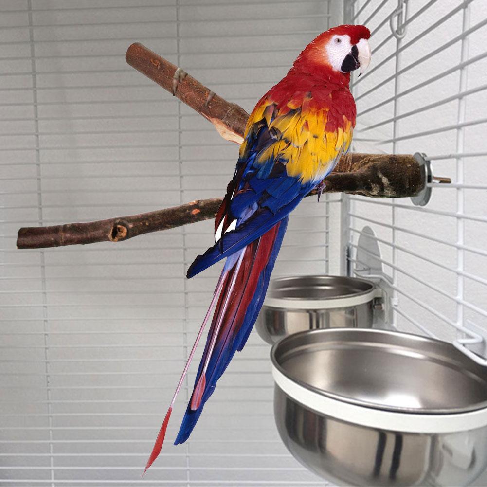 Houten Papegaai Speelplaats, Draagbare Training Standaard, Vogelkooi Accessoires voor Kleine en Middelgrote Vogels, Kauw en Bijt Speelgoed