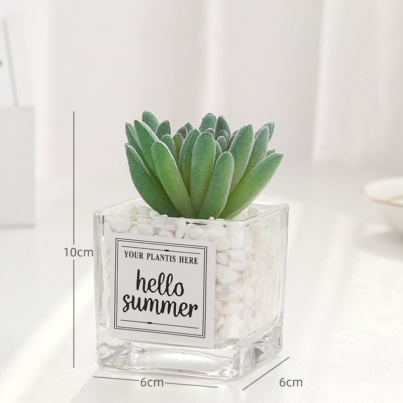 Planta de simulación nórdica, Mini planta suculenta en maceta, péndulo , botella de vidrio de piedra verde, planta decorativa de escritorio en maceta: D