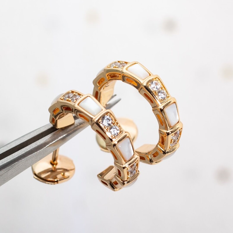 925 Zilveren Europese En Amerikaanse High-End Gevoel Diamond Snake Bone Oorbellen Temperament Dames Mode Trend Sieraden