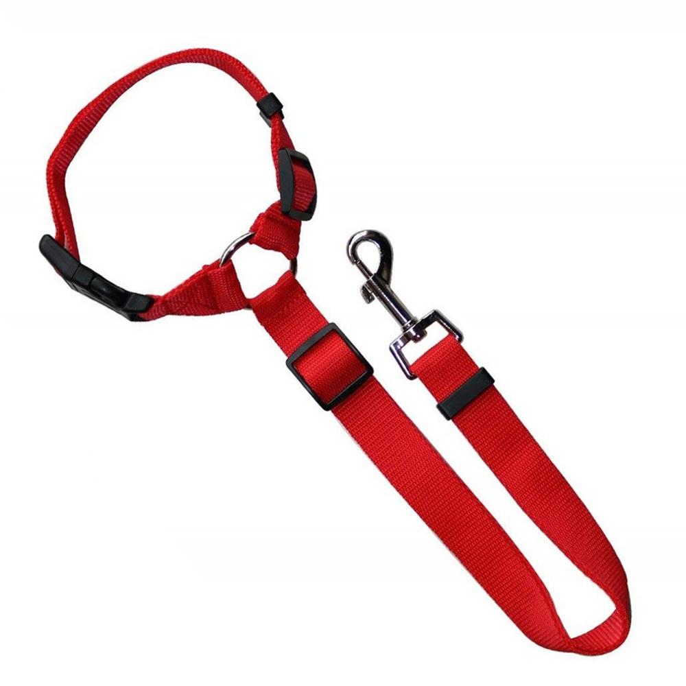 Reflective Dog Traction Rope Pet Running Elastic H... – Vicedeal