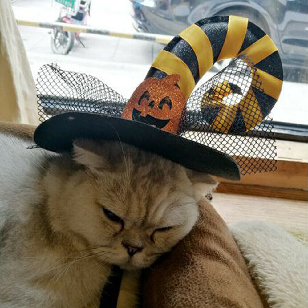 Haustier Halloween Kostümich Spinne Hütte-Hund Katze Hexe Magier Hütte Für Halloween Parteien