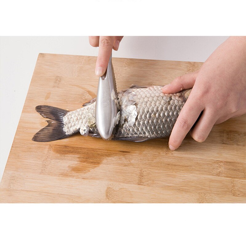 Stainless Steel Fish Scale Cleaner Scraper Fish Sc... – Grandado