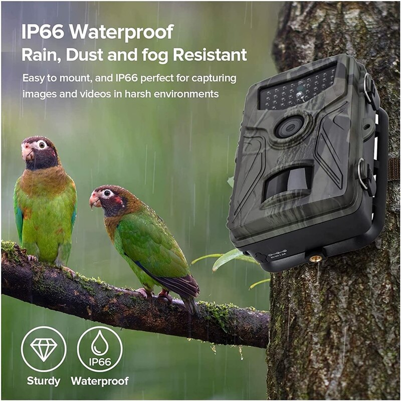 Wildlife Camera 20MP 1080P Trail Camera Wildlife Tracking HC804A Night Vision Wild Cameras Photo Traps Outdoor Infrared Camera