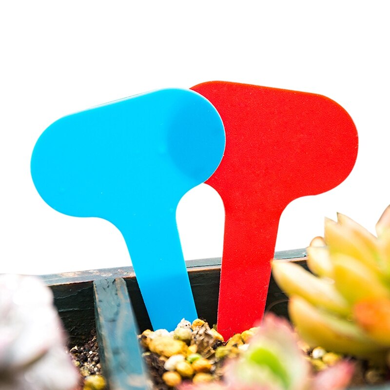 100 Uds marcadores de plantas tipo T etiquetas de semillas de plástico Mini etiquetas de plantas de jardín marcadores de plantas a prueba de agua bandeja marcar herramientas suministros de jardín