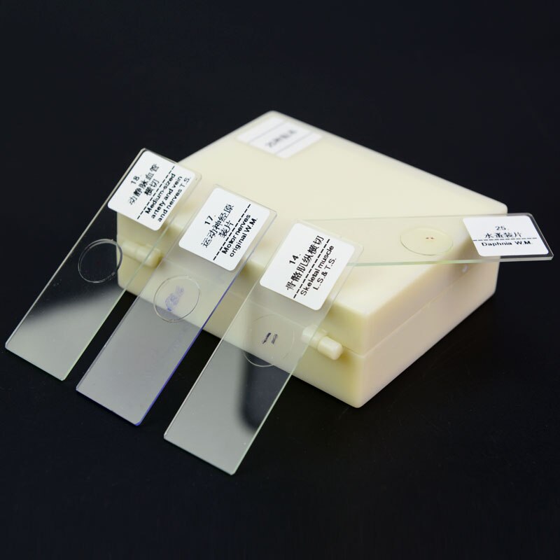 25 pcs Prepared Glass Microscope Slides for Children Student Biological Microscopes with Chinese and English Label